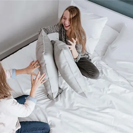 Ibis Altstadt ארפורט